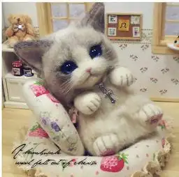 图里的猫叫什么,或者哪里有卖