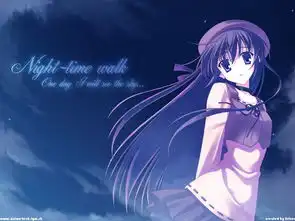 这个图上的英文是什么字体