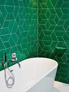 白色背景图片大全