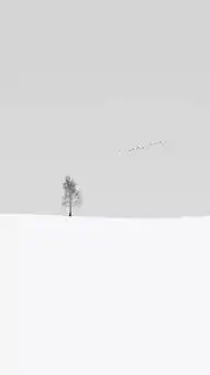 简单黑白系列壁纸,送给不简单的你