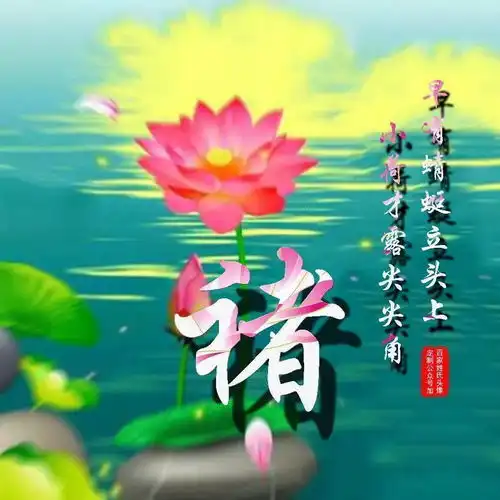 中老年头像大全漂亮荷花,子道千年情,爱满百年好