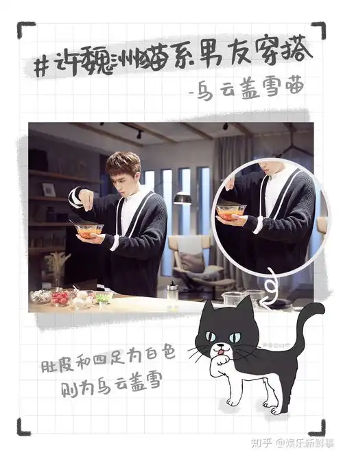 猫系男友许魏洲,初秋穿搭指南你学会了吗