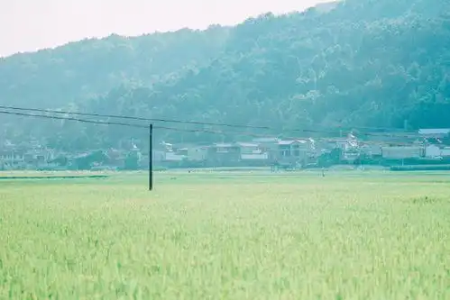 外表高冷禁欲系,内心可爱甜美系的星座女,反差萌讨人喜欢
