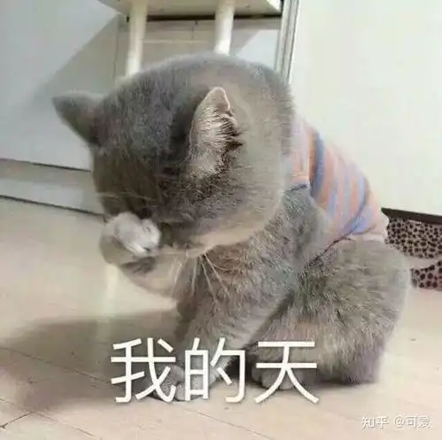 蓝猫精美表情包图片欣赏,蓝猫的动画片有哪些