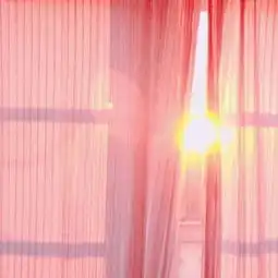 可爱粉色系列的静物头像大全风景静物头像我要个性网