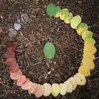 落叶风景图片微信头像微信头像图片大全