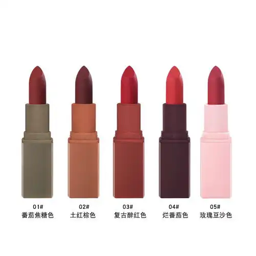 正品ins网红同款莫兰迪口红丝绒哑光雾面土红棕色烂番茄单支套装