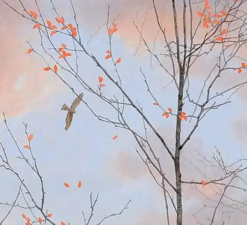 就算大雨依然期待明日