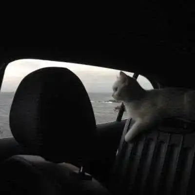 网易云热评初中时,把自己的mp3借给了一个女生,还回来的时候