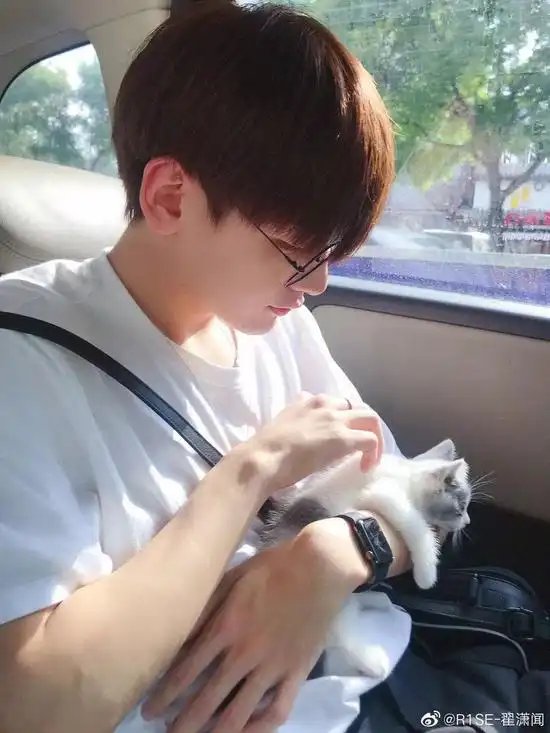 肖战胡歌李现来领取你的猫系男友吧