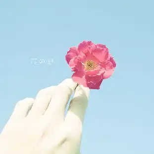 用户对无心恋野的评价mtime时光网