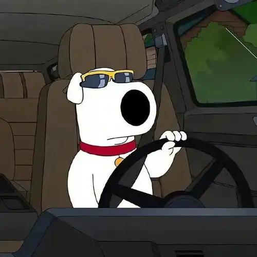 适合女生长期不换的微信头像