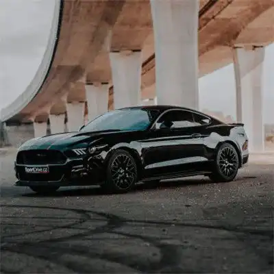 福特野马头像,2019最新福特野马汽车的图片