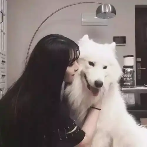 猫系女孩头像动漫暖春