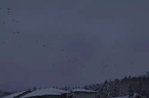 治愈系的头像背景壁纸温