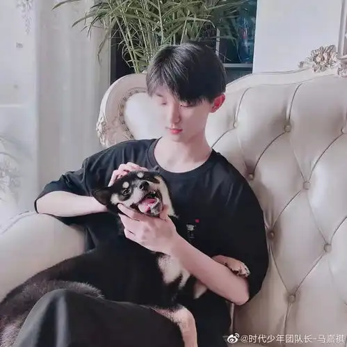 马嘉祺不小心踩狗狗的事件,他没有虐狗...