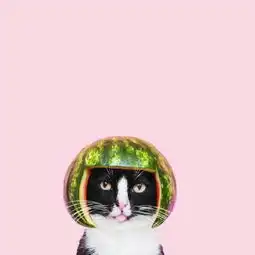 q版超可爱的闺蜜头像,谢谢