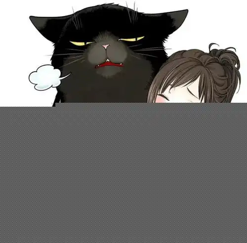 漫画能干的猫今天也忧郁tv动画化决定,将于2023年播出