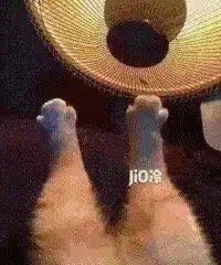 顶不住了连续降温降雨,洛阳今年或遇60年极寒冬天真相是...