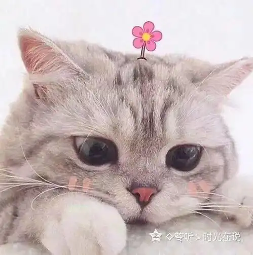 春节档电影推荐