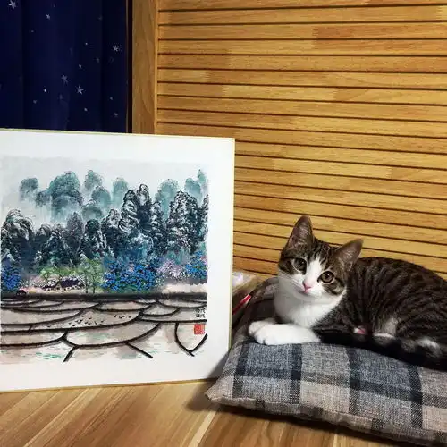 国画一幅山水小品,猫咪也来凑热闹,新年更招财