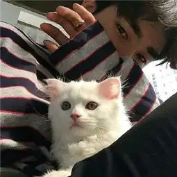 qq头像人抱着萌宠男生头像2018阳光正好我们去浪