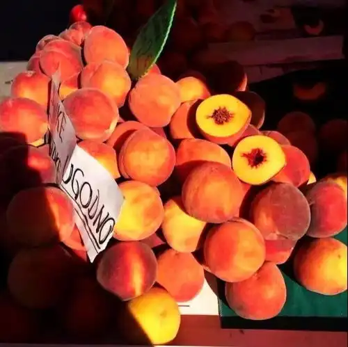 橙色系他独来独往,像个高手