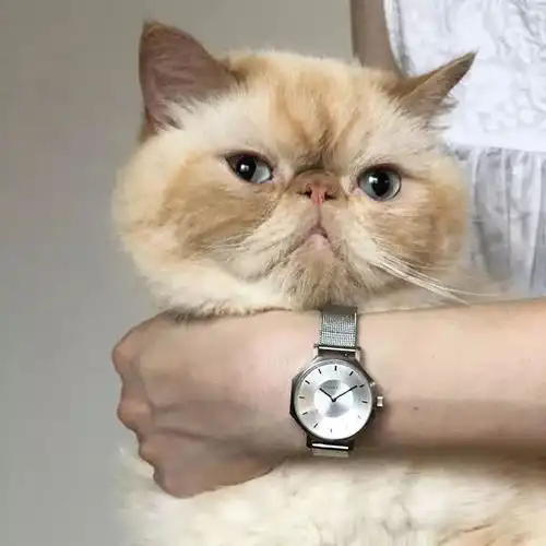 头像所有热泪盈眶的瞬间我想起的都是你的脸