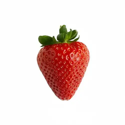 谁懂啊这种白底食物头像