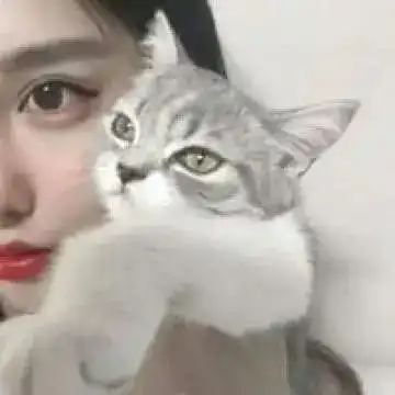 性感头像小姐姐头像美女头像非主流头像分享,文字图片文字美图唯美图片小清新美图小清新插画文字图文字控文字图片文字排版文字设计文字壁纸唯美文字那些感动文字文字壁纸唯美文字文字海报手写文字美文美图美文句子搞笑女性唯美