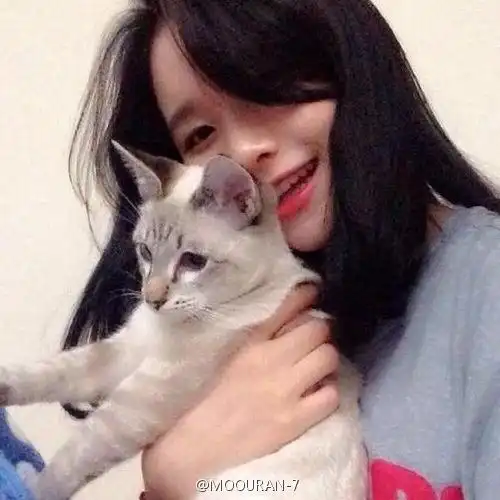 谁有女生和猫在一起的头像,多发几张吧,先谢谢了