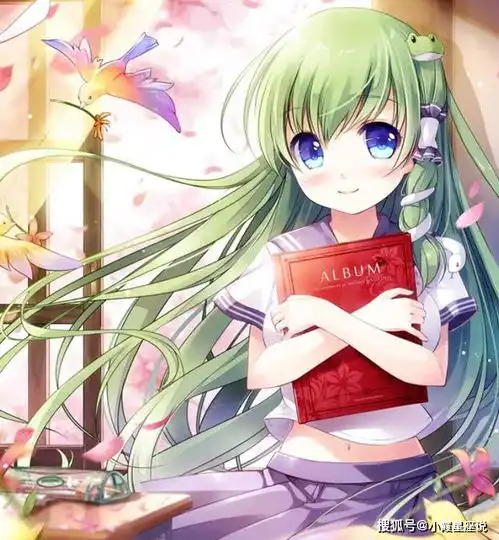 12星座你每天的生活中最离不开什么双子烟,天蝎真的不一般