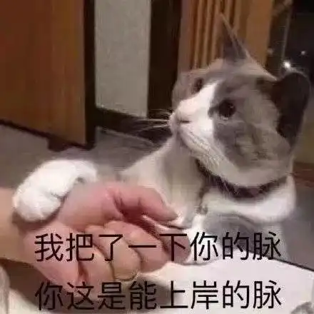 可爱猫猫头像我要3个对象,不过分吧