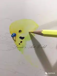 彩铅教程最适合当宠物的呆萌小鸟