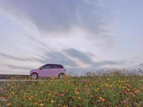 初遇的温暖,相知后的陪伴,猫系女孩的欧拉黑猫改装之路