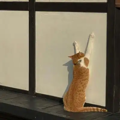 高级感朋友圈背景ins治愈系