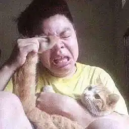 nba总冠军球队球星参加真人秀,这个节目组真有钱