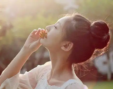 经典文艺的句子,精致走心,发朋友圈很不错