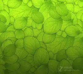 18完美分辨率壁纸无需裁剪无私分享