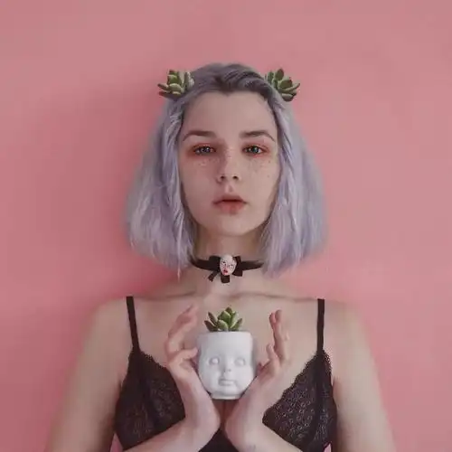 那些民间流传的招商ppt的音乐节阵容到底可不可信