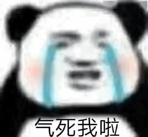 智商美商双满分大脑选手竟是时尚圈在逃博主