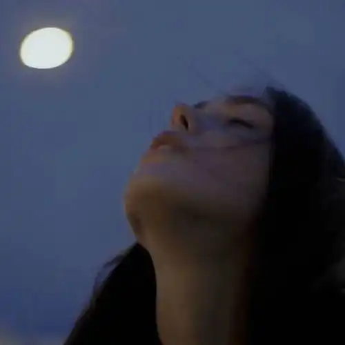 头像丨日月既往,不可复追