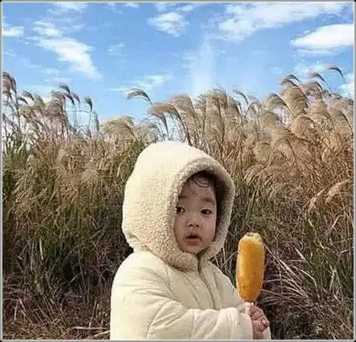 学生都喜欢的最不像情侣的情侣头像,女友内容太过于真实