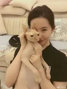 fan动态丨赵丽颖萌系自拍营业盘点娱乐圈的宠物达人