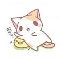 这两只小猫叫什么