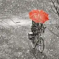 微信头像雪花的图片唯美白茫茫雪花微信头像