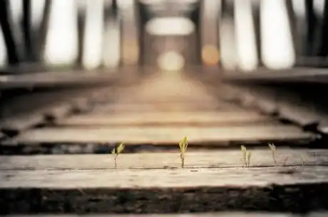 晚安心语141209轻轻浅浅的岁月里,时钟滴答滴答的刻录着生命的感言