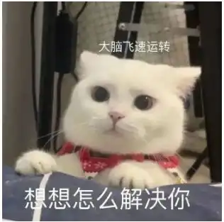 妹子养猫近半年分不清公母,绝育时才知是母猫,网友看不见蛋蛋,还一直深信是公猫