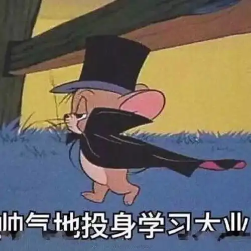 猫系女友表情包头像动漫