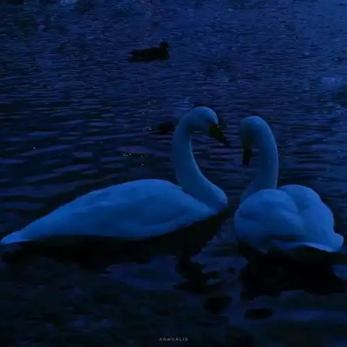 蓝色系背景图生活再难也要做个唯美图片我要个性网